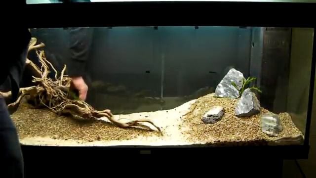 Aquarium Setup - Aquascape - Step by Step - Live Planted Fish Tank смотреть онлайн