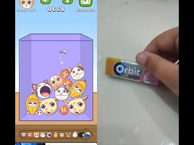 13 мая 2024 г. смотреть онлайн