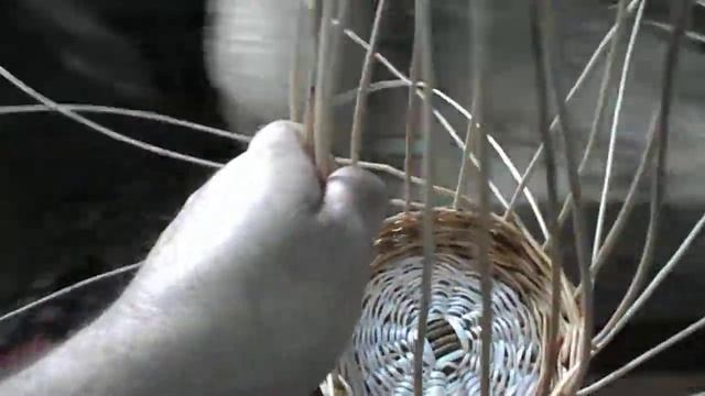 Плетение ивовая лоза смотреть онлайн