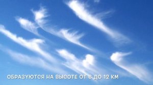 Виды облаков | Types of clouds