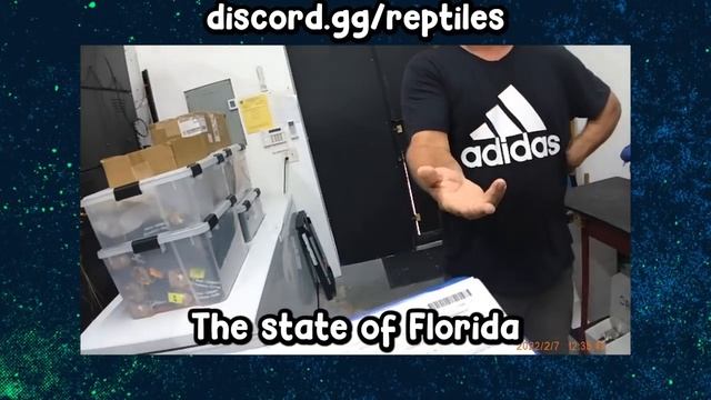Who is lying? FWC Officers "Accidentally" Destroy Pet With a Nail gun! смотреть онлайн