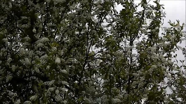 Сердцу не дай остыть смотреть онлайн