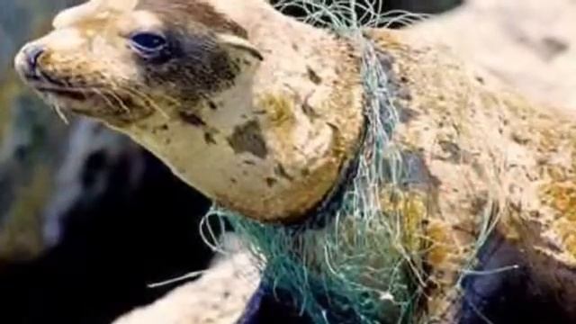 Robotic Monsters FLL Trash Trek Project video 1 смотреть онлайн