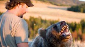 Медведь гризли - интересные факты