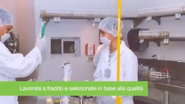 Aloe Mango смотреть онлайн