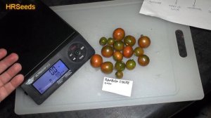 ⟹ Ramblin Stripe Tomato | Solanum lycopersicum | Tomato Review | HRSeeds.com