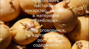 Как картофельные ростки превратить в лекарство / Актуальные новости в описании