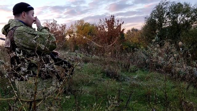 приехал за уткой уехал с фазанами