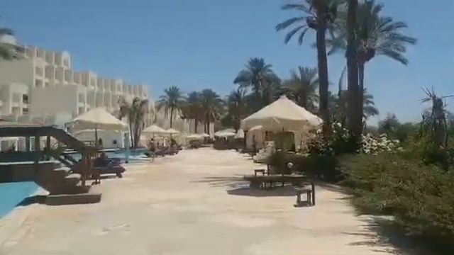 🙃😜 #Египет!! #Обзор #отеля #Siva Sharm 5* после карантина #глазами #любимых #туристов❤️ смотреть онлайн