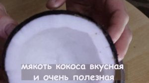 Как открыть кокос.  Простой и быстрый способ открыть кокос дома. Как открыть кокос правильно.