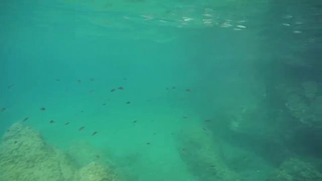 Cetara.Italia. Підводні зйомки смотреть онлайн