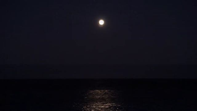 night walk 6 / moonlight sea смотреть онлайн