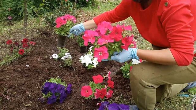 В ГОСТИ НА ДАЧУ))))ЧАСТЬ 1 смотреть онлайн