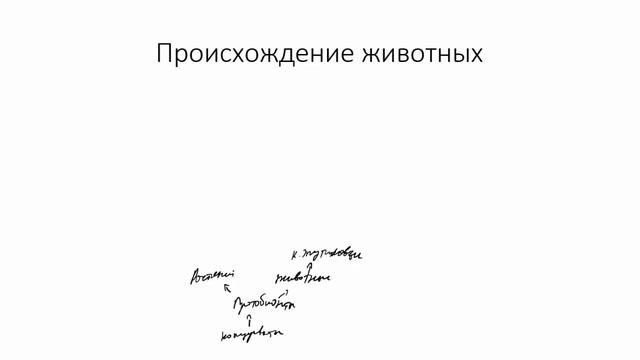 Систематика и происхождение животных