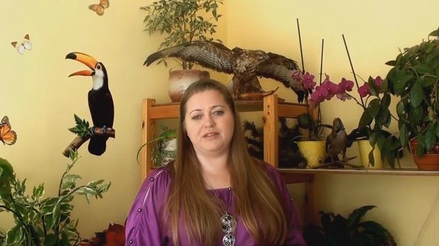 Заведующая МДОУ дс № 24 СКАЗКА смотреть онлайн