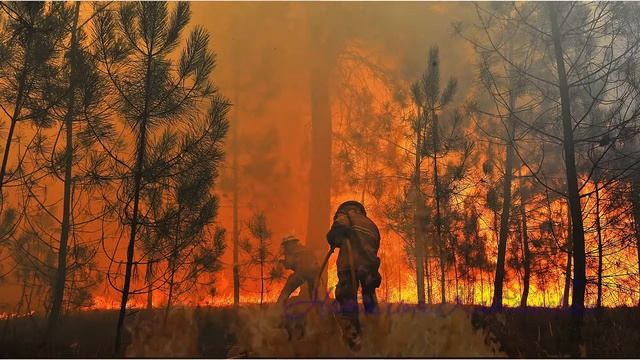 Рисованное видео. Урок 6. смотреть онлайн