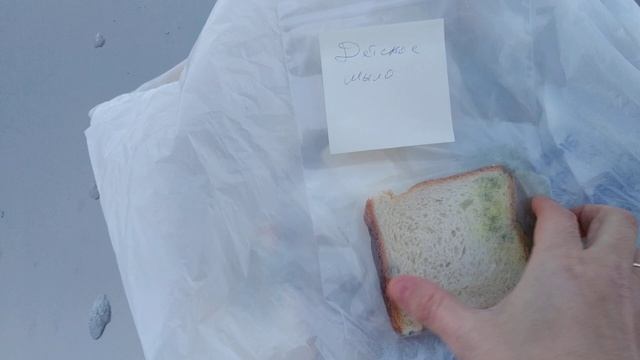 Микробы в нашей квартире ? - эксперимент с хлебом! смотреть онлайн