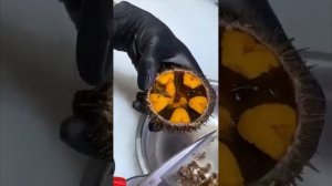 Как разделать морского ежа.