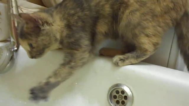 Нюша и пена для ванн смотреть онлайн