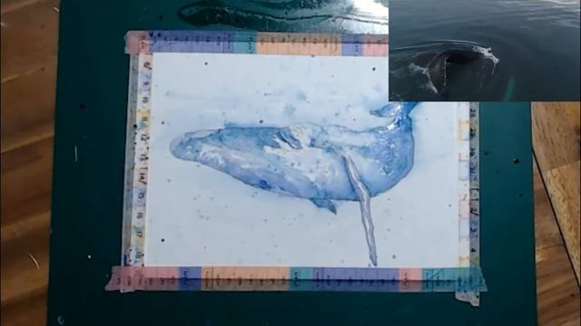 How to paint a Whale || Animal Oracle || Whale || Whale Animal Spirit || #animaloracle #whale #howt смотреть онлайн