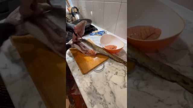 Налим рыбалка на Волге Марий Эл #марийэл #налим смотреть онлайн