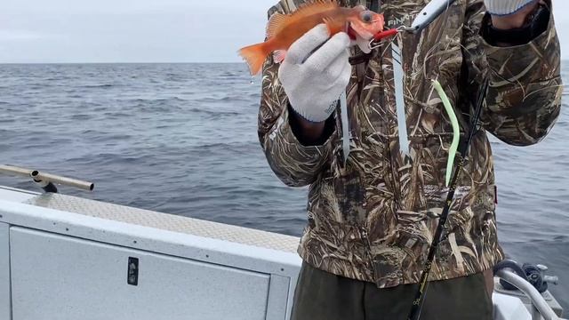 Баренцево море / Морская рыбалка / Териберка смотреть онлайн