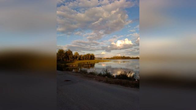 "Нас сфоткают на память червяки" - пронзительные стихи о пропаже мира, из новой тетради Н. Ивеншева смотреть онлайн