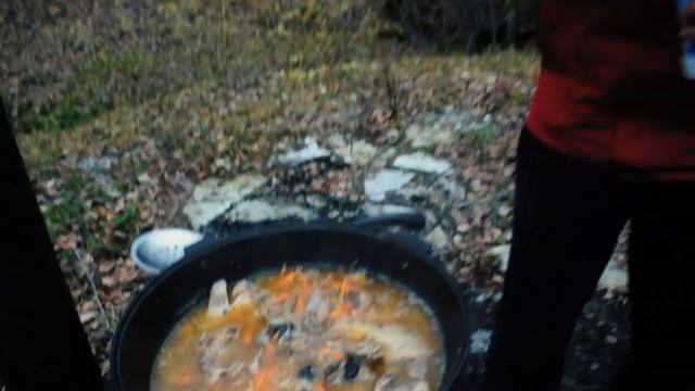 Вкусные рецепты запечённой утки