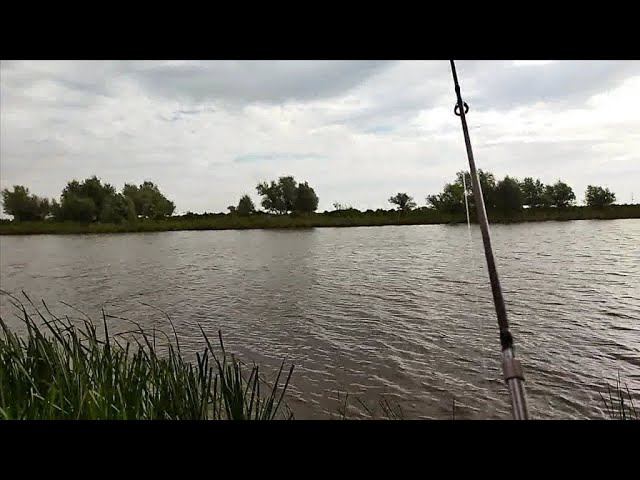 ОСЕННЯЯ РЫБАЛКА И СБОР ГРИБОВ