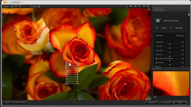 Viveza 2 | A Great Plugin For Making Selections and Local Adjustments смотреть онлайн