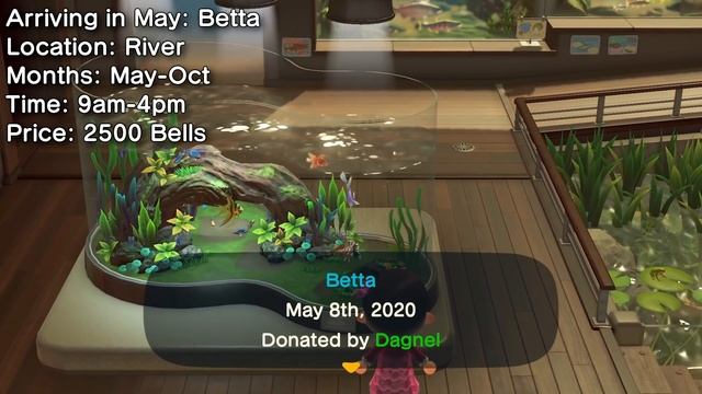 Animal Crossing New Horizons Guide to MAY! Bugs, Fish, Events and More! (Northern Hemisphere) смотреть онлайн