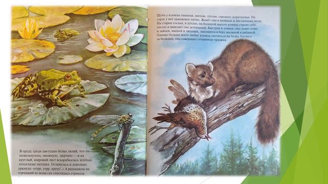 Зоология в картинках Александр Барков часть 5 Конец смотреть онлайн