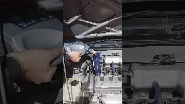 Novus Dynamic 5w30 api sp a3/b4 смотреть онлайн