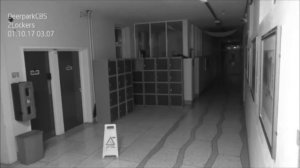 ПРИВЕДЕНИЕ В ШКОЛЕ ПОПАЛО НА ВИДЕО