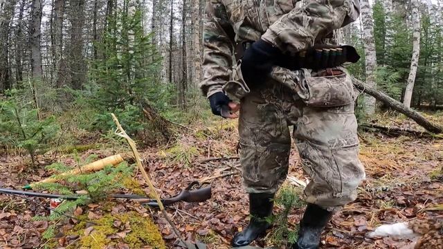 Охота с Фокстерьером на боровую дичь в Манской тайге. Красноярский край, Восточный Саян. 11.10.2022 смотреть онлайн
