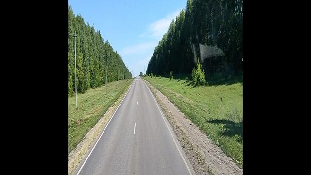 в рамках общественного контроля смотреть онлайн