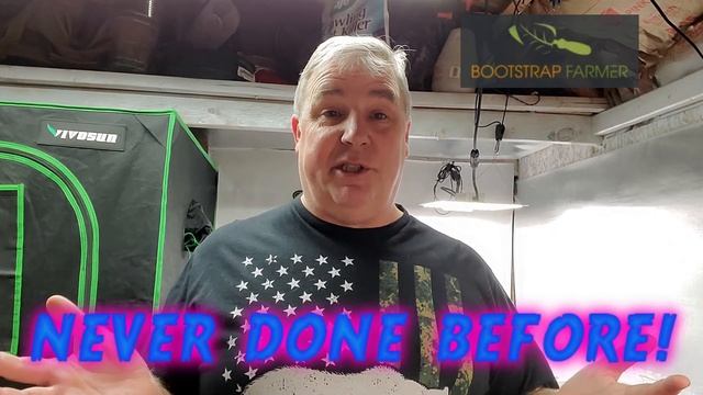 Best Seed Starting Trays! Bootstrap Farmer Tested To The Limit! смотреть онлайн