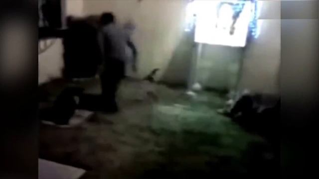 Гномы в реальной жизни | 10 реальных видео гномов смотреть онлайн