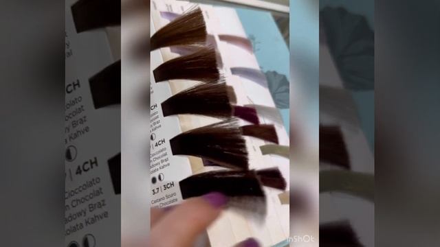 Обучающее Видео по красителю BEAUTY FUSION смотреть онлайн