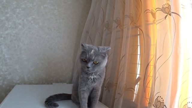 Влог: Вкусняха с Астрахани смотреть онлайн