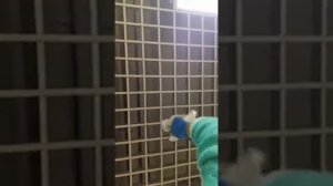 Процесс уборки клининговой компанией «Хоум-Клининг»