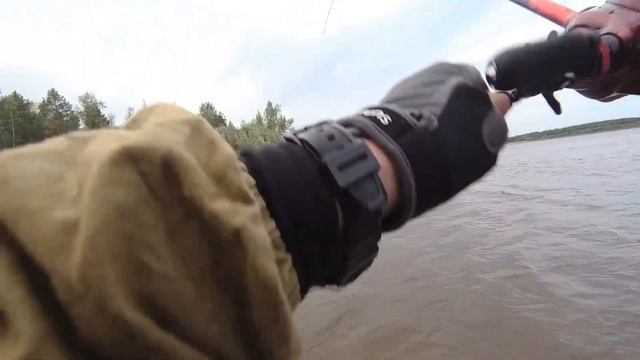 Река Обь , спиннинг , рыбалка 5 сентября 2021 года . смотреть онлайн