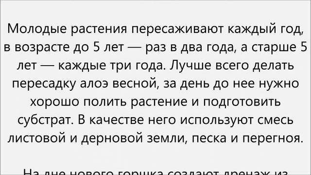 Алоэ уход смотреть онлайн