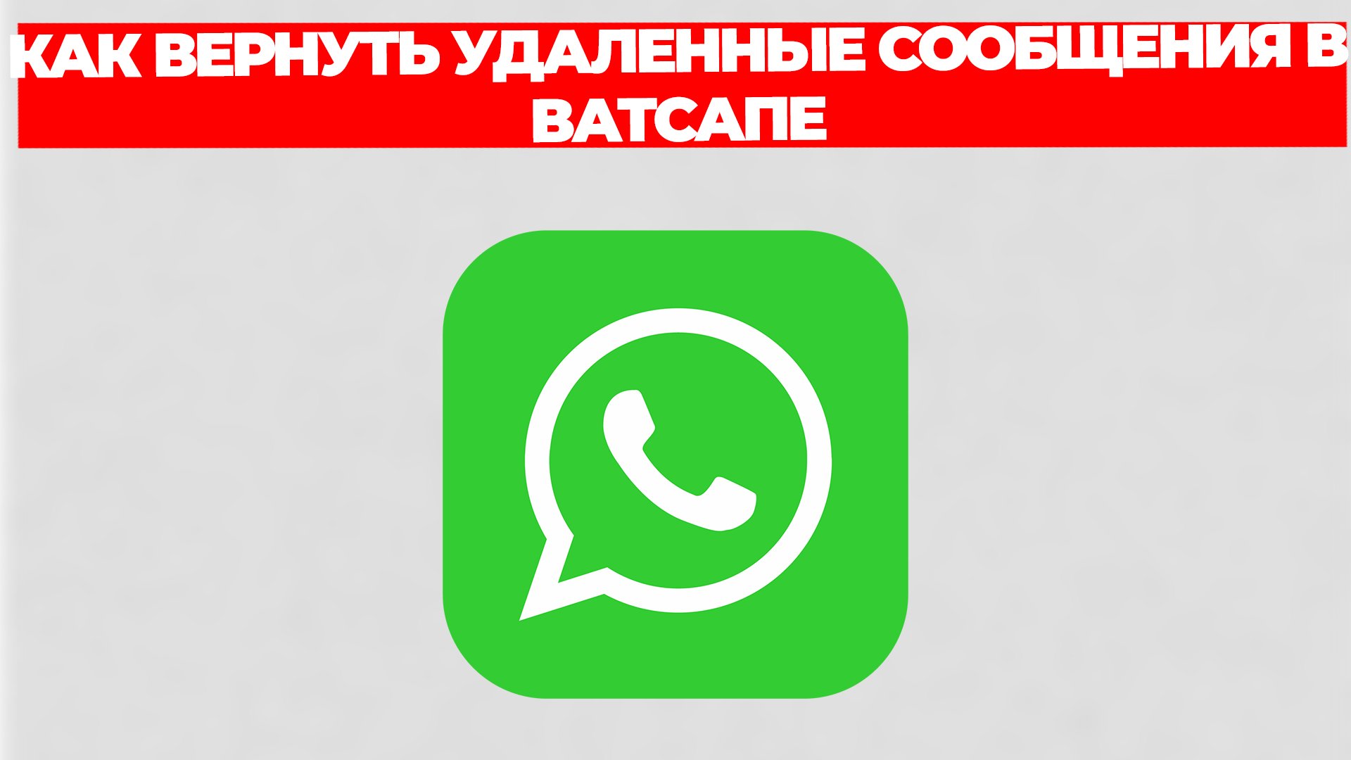 Всезнающий Енот