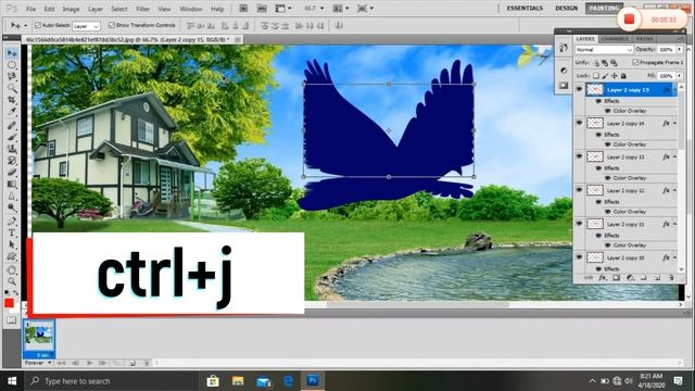how to animation bird pin photoshop смотреть онлайн