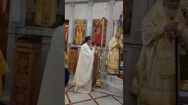 Приветствие настоятеля Подворья митрополитам Нифону и Антонию смотреть онлайн