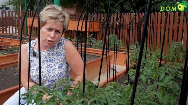 Как увеличить Урожай Томатов ? Дуги и Шпалеры Для томатов ✔️ интернет магазин смотреть онлайн