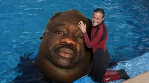 ЗАСМЕЯЛСЯ - ПОДПИСАЛСЯ!! ЛУЧШИЕ ПРИКОЛЫ 2024 ТЕСТ НА ПСИХИКУ УГАР