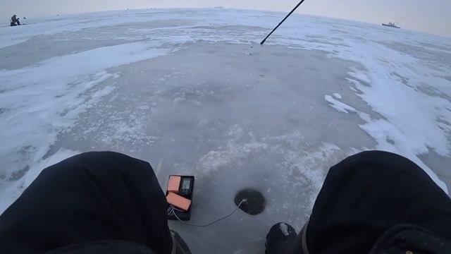 Как поймать зимнего судака на раттлины и другие приманки. смотреть онлайн