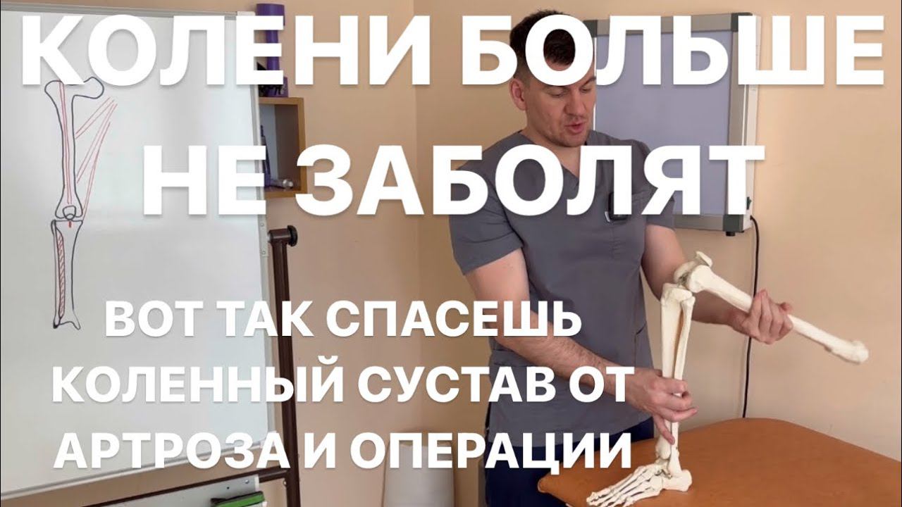 Антон Алексеев